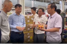运抵法国后对荔枝质量进行检查。