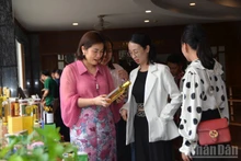 嘉莱省贸易促进活动吸引众多游客前来参观。