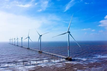 附图。（图片来源：越通社）