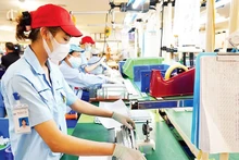 河内内排工业园区的生产活动。（范雄 摄）