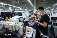 附图。（图片来源：越通社）