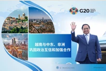 越南与中东、非洲国家巩固政治互信和加强合作