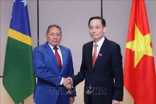 越南外交部长黎怀忠与所罗门群岛外交与外贸部长彼得·沙内尔·阿戈瓦卡。（图片来源：越通社）