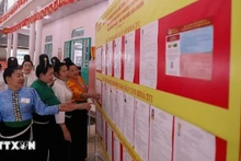 附图：越南国会与各级人民议会选举：选票与公民责任。（图片来源：越通社）