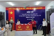 截至3月15日23时23分：越南全国34个省市投票率达99.68%。