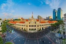 胡志明市融入与发展征程上【组图】