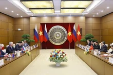 越南国会主席陈青敏与俄罗斯联邦国家杜马主席沃洛金举行会谈。（图片来源：越通社）
