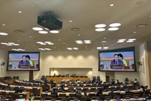 联合国大会上周通过了关于筹备防控疫情高级别会议的决议。图为会议场景。（图片来源：越通社）