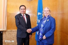 越南国会主席陈青敏会见联合国日内瓦办事处总干事瓦罗瓦娅。