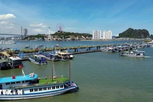下龙湾景色。