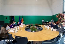 越南国会对外委员会工作代表团分别与德国联邦议院副议长博多·拉梅洛（Bodo Ramelow），德国—东盟友好议员小组主席马尔特·考夫曼（Malte Kaufmann）举行了工作会议。（图片来源：越通社）
