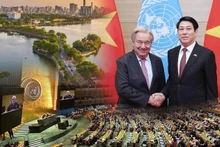 越南在《联合国打击网络犯罪公约》留下的烙印