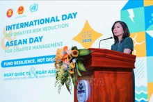 联合国常驻越南协调员波琳·塔梅西斯在活动上发表讲话。(图片来源:越通社)