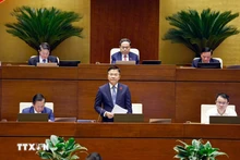 越南政府副总理黎成龙在会上发表讲话。（图片来源：越通社）