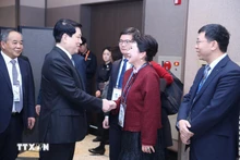 越南国家主席梁强会见中国美宝国际集团创始人李莉。（图片来源：越通社）