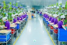 义安一号VSIP工业园区的立讯精密（义安）-ICT有限公司的员工。