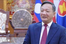 越南驻老挝大使阮明心。（图片来源：越通社）