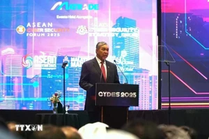 马来西亚副总理扎希德·哈米迪发表讲话。（图片来源：越通社）