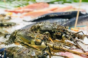 虾类作为越南水产品出口的主力产品。（图片来源：越通社）