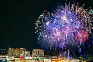 富国特区吻桥上精彩纷呈的烟花表演。（图片来源：越通社）