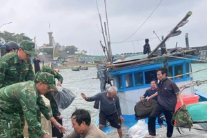 胡志明市收紧船队管理，随时迎接欧委会IUU检查。（图片来源：越通社）