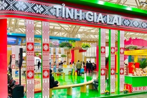 嘉莱省展区。（图片来源：越通社）