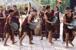 遮罗族人口超过2.95万人，居住在全国多个地方，其中同奈省人数最多，约1.6万人。