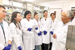 越南研究人员与日本专家（右）就相关议题进行讨论。