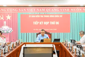 越共中央政治局委员、中央书记处书记、中央检查委员会主任陈士青主持会议。