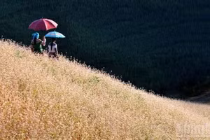 越南旅游第一季度强劲增长。