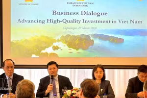 财政部副部长阮德心解答丹麦企业的提问。（图片来源：越通社）