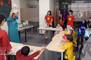 由加拿大与越南文化教育机构举办的越南语培训班。（图片来源：越通社）