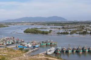 停靠越南港口的外国船舶监控工作新流程。（图片来源：越通社）