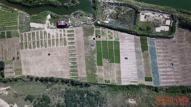 城市中心的“游牧”生活（组图） ảnh 3