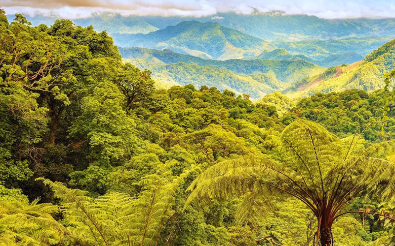 风芽-盖板是2022年值得体验的39个旅游目的地之一 ảnh 1