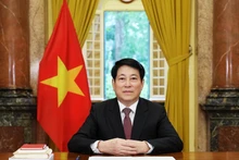 巩固越南与非洲友好国家的传统关系
