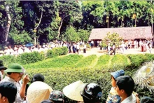 踏步在春色之中