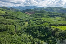 加快建设和运营碳信用市场