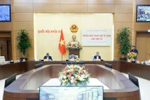 文化与社会委员会的任务与权限