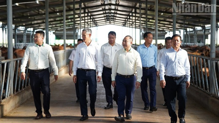 越南驻柬埔寨大使馆代表团参观了THACO集团在腊塔纳基的项目。 image-1.jpg