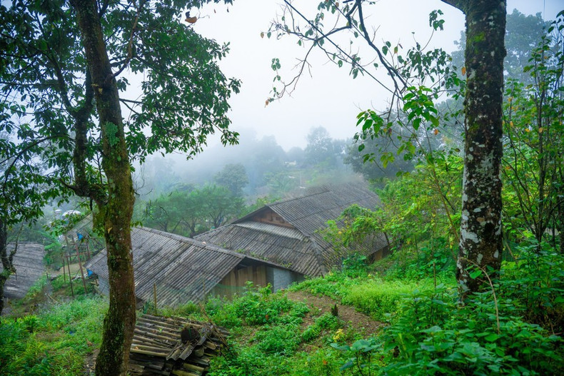 新水湖不仅被评为2025年越南最佳社区旅游景点，2023年在东南亚旅游论坛（ATF）中荣获第三届东盟社区旅游奖，2024年还被提名参与“世界最佳旅游村”评选。