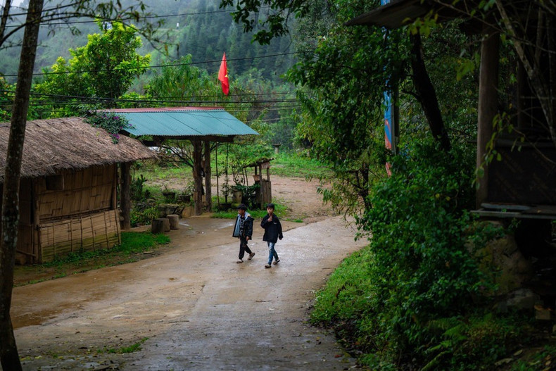 新水湖四季气候清新凉爽，拥有原始森林生态系统和多处壮丽的自然景观。
