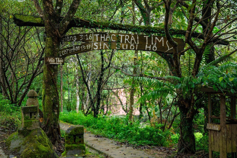 仅2024年，新水湖村就接待游客3万多名，旅游收入超过30亿越南盾。