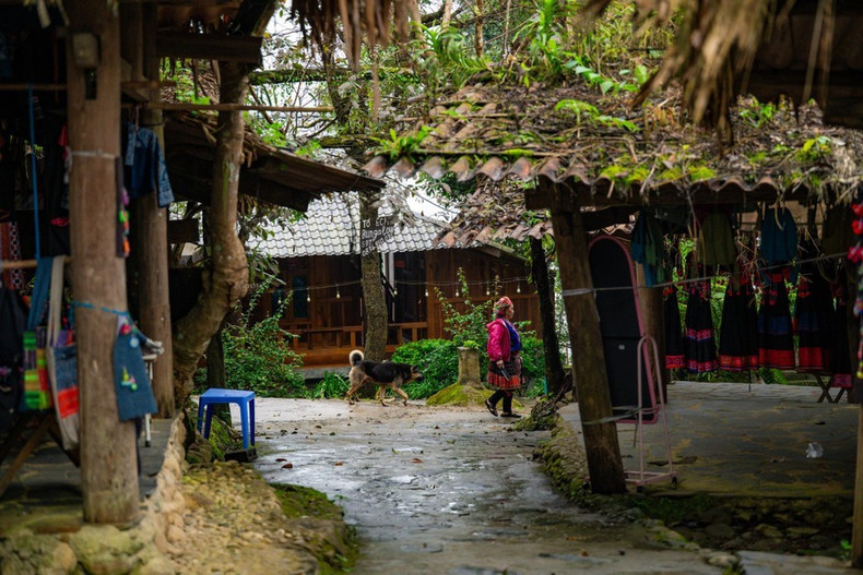 新水湖还被誉为“云中天堂”，拥有壮丽的爱情瀑布、心形瀑布，以及每逢稻谷成熟时金黄灿烂的梯田。