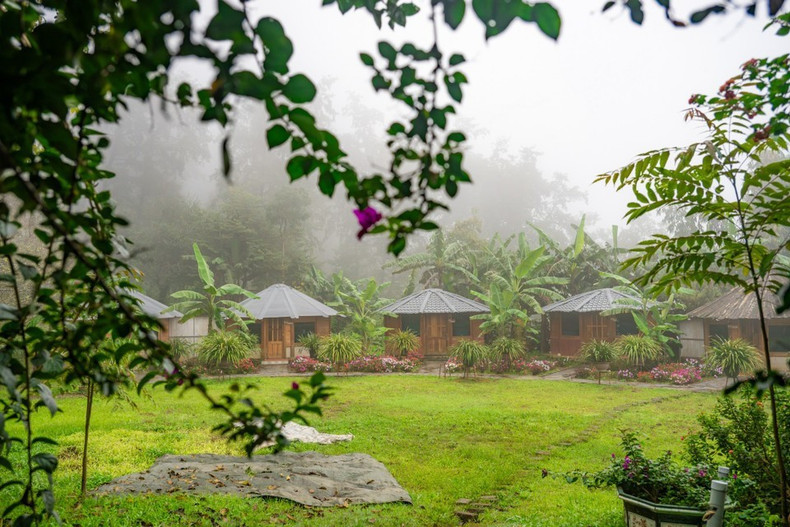 截至目前，新水湖从事民宿和餐饮服务共数十户，每晚可接待约500名游客。