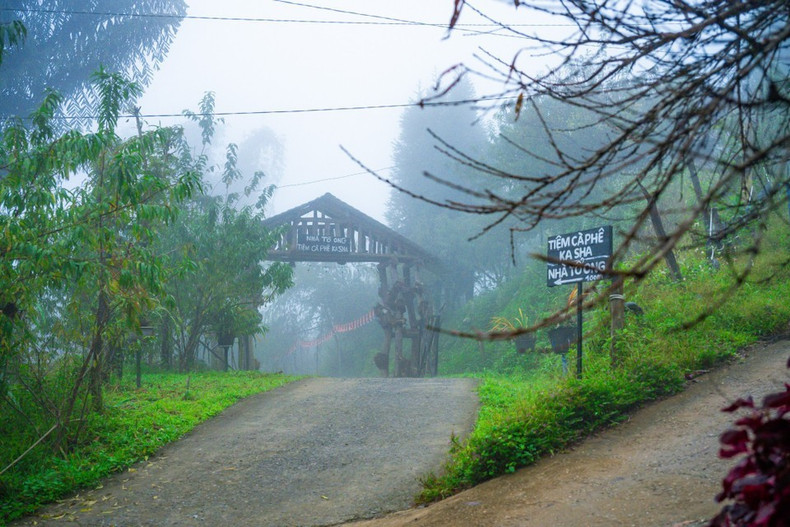 来到这里，游客可以尽情体验丰富多彩的活动，如登顶追云、探索赫蒙族同胞的生活。