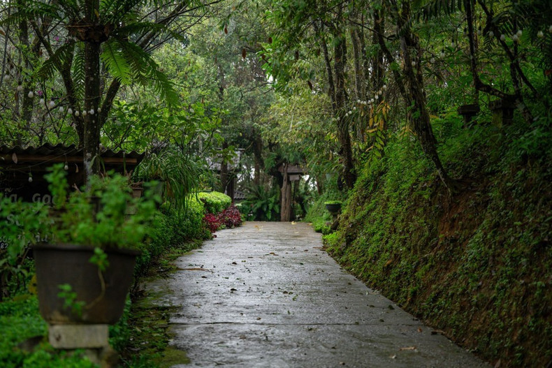 新水湖被评为2025年越南旅游奖五大最佳社区旅游点之一。