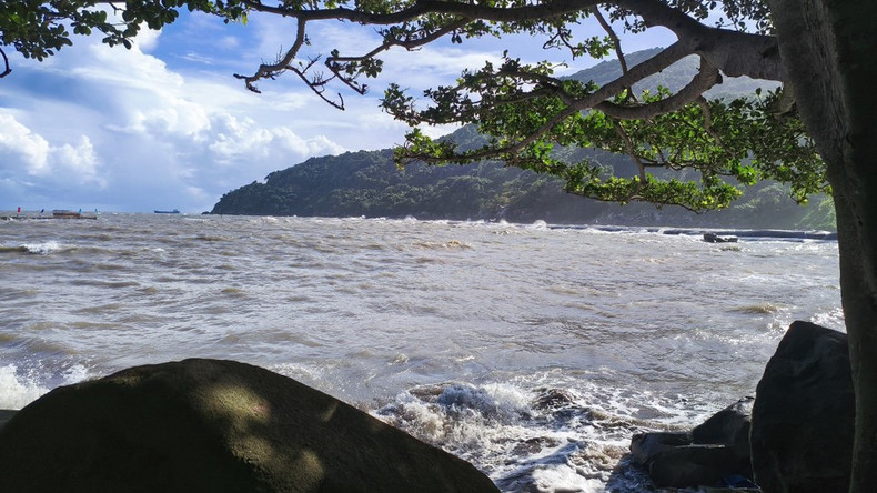 在得到全面投资建设后，薯岛将成为九龙江三角洲重点经济区的重要连接点，并成为越南新的国际贸易门户。