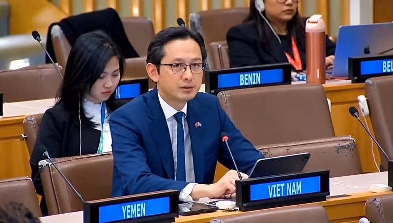 越南常驻联合国代表团团长杜雄越大使。（图片来源：国际报）