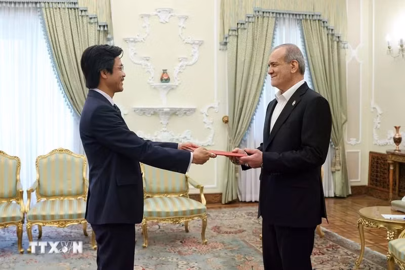 越南驻伊朗大使阮良玉向伊朗总统马苏德·佩泽希齐扬递交国书。（图片来源：越通社）